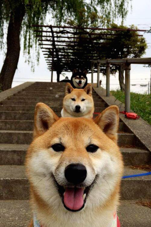 新型引擎亮相:F1动力系统全新升级,f1 动力