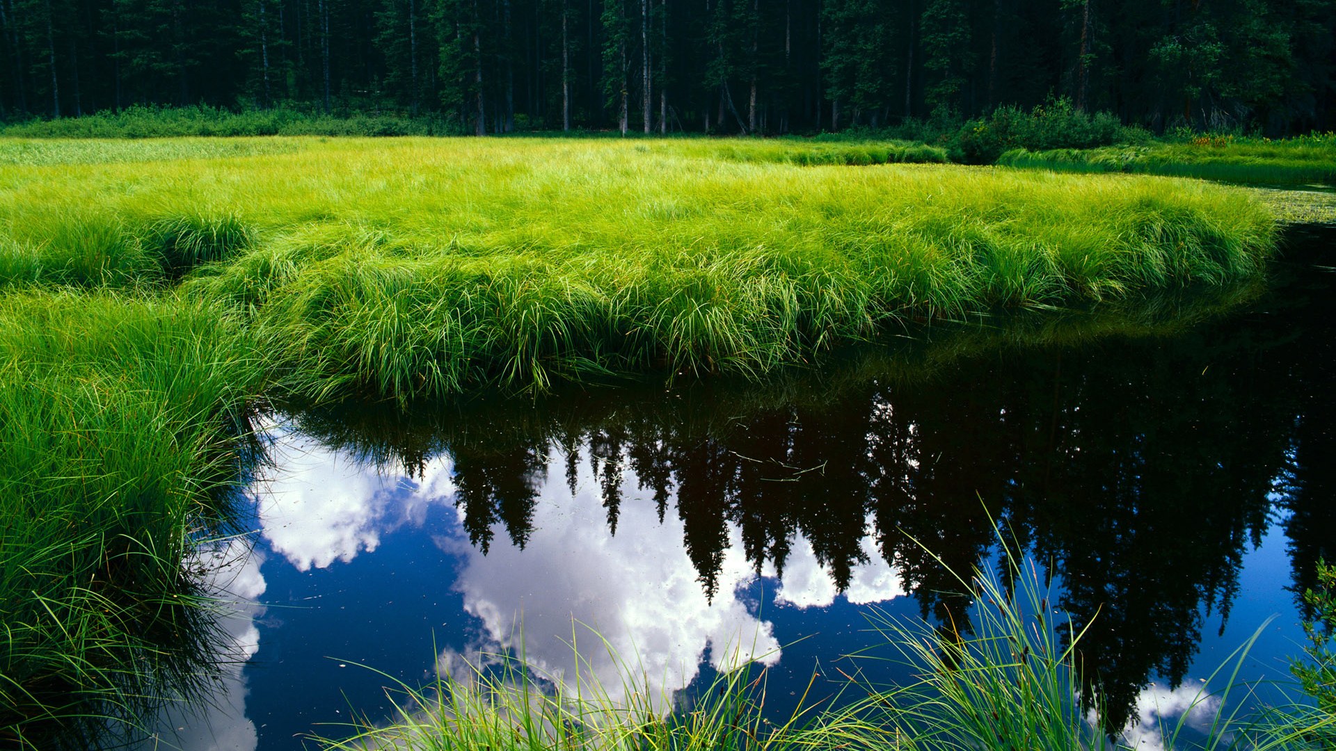 开云网址-_勇士队外线火爆，战局一边倒_，勇士队集锦