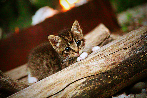 开云体育官方网入口-中国足球青训合作项目遍地开花，中国足球青训搞得比较好的球队